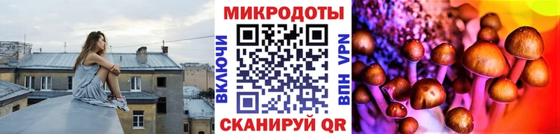 Псилоцибиновые грибы мухоморы  цены   Медвежьегорск 